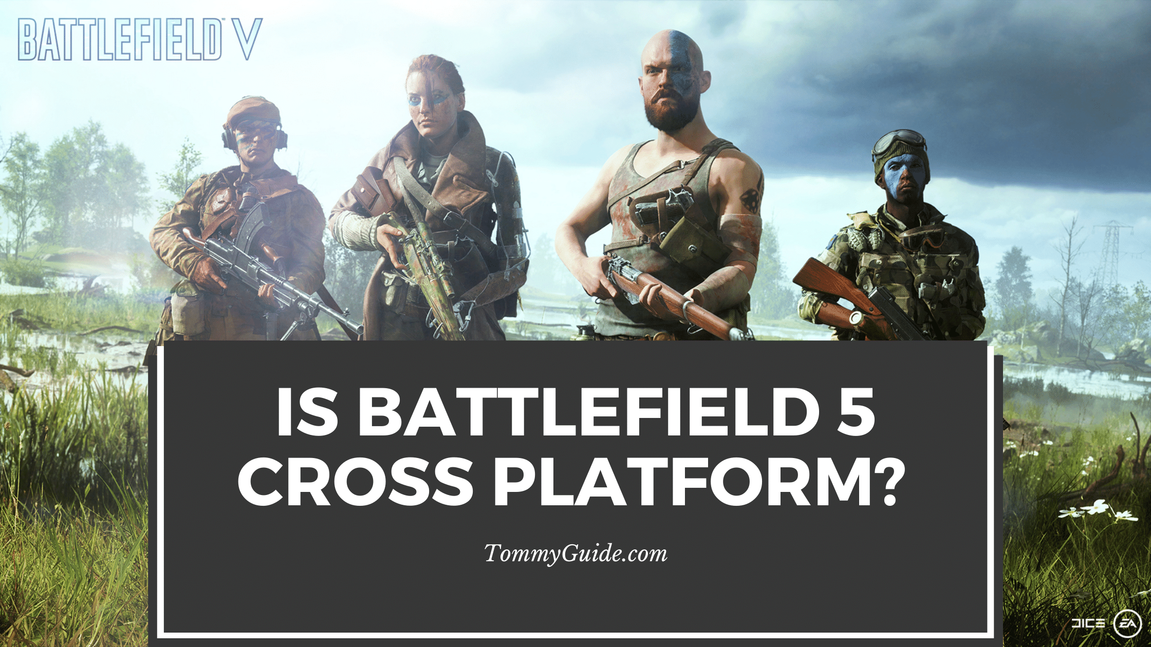 Is Battlefield 5 Cross Platform