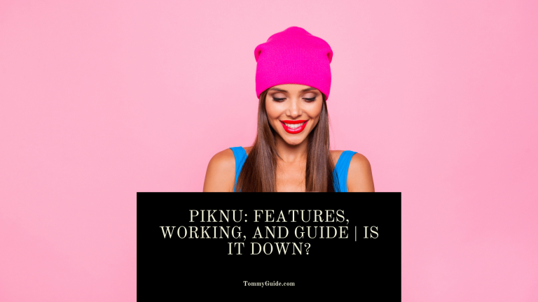 Piknu Instagram Viewer