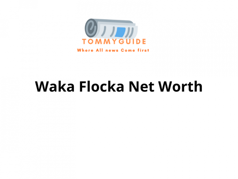 Waka Flocka Net Worth