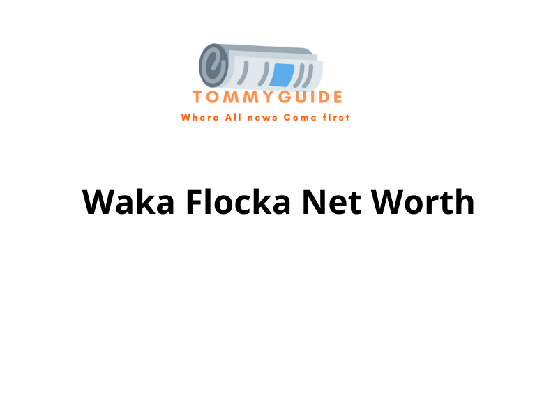 Waka Flocka Net Worth