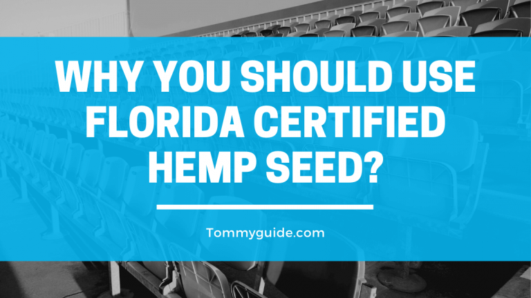 Why you should use Florida Certified Hemp Seed?
