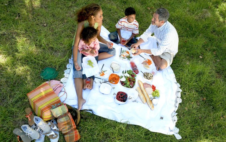 How to Make a Picnic More Interesting