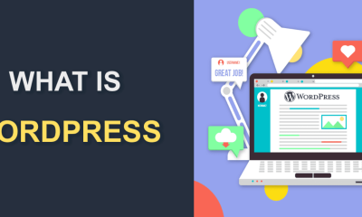 What is WordPress and Why to use it? An Expert Guide for the Beginners