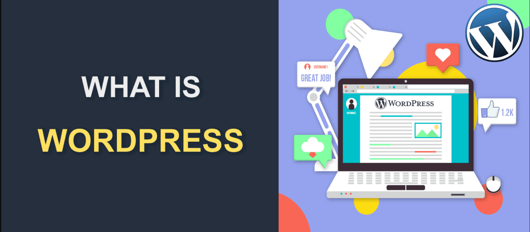 What is WordPress and Why to use it? An Expert Guide for the Beginners